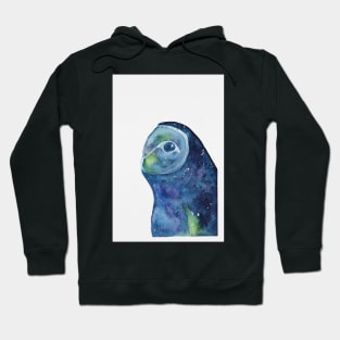 Galaxy Barn Owl Hoodie